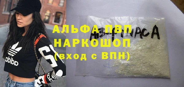 стаф Горнозаводск