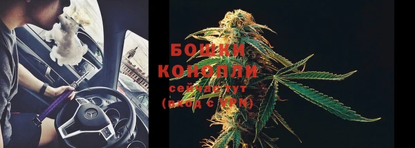 стаф Горнозаводск