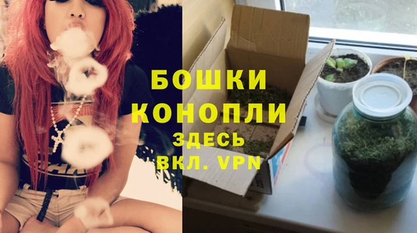 стаф Горнозаводск