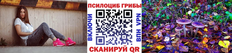 blacksprut рабочий сайт  где купить наркоту  Одинцово  Галлюциногенные грибы мухоморы 